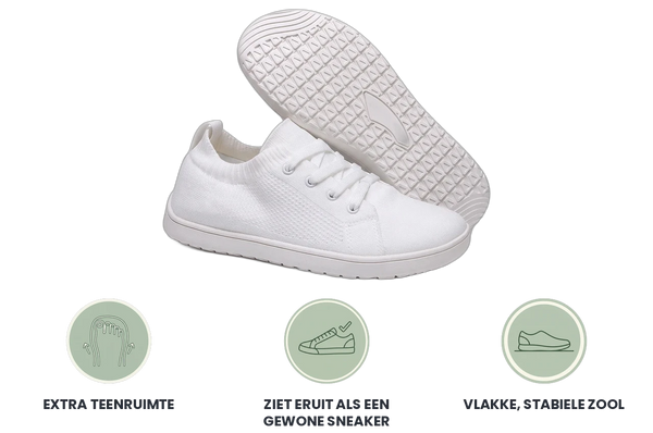 WideStep