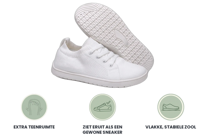 WideStep