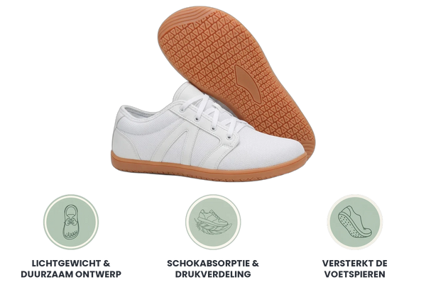 WideStep